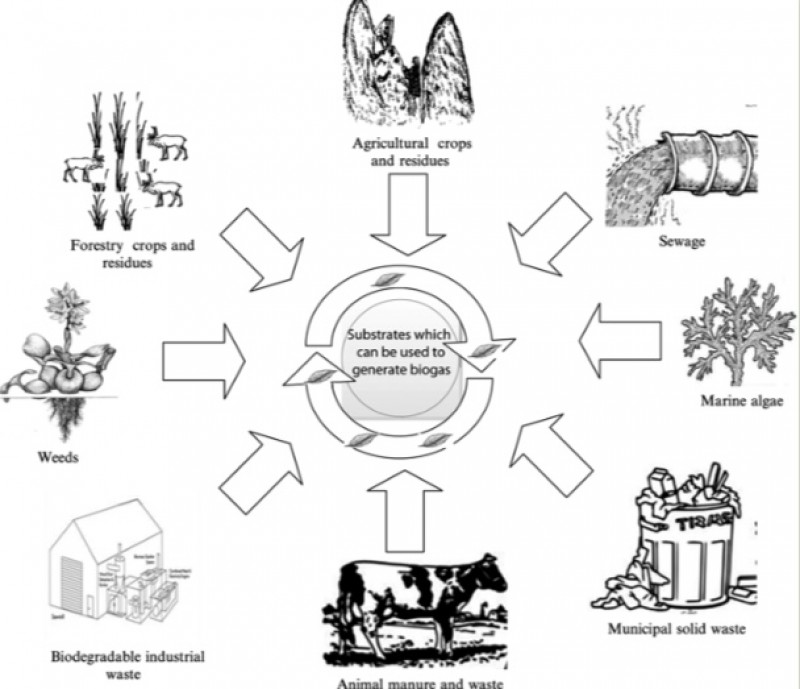 Biyogaz Üretiminde Kullanılan Atıkların Özellikleri